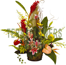 EXCLUSIVE Miami TROPICAL arrangement with EXOTICS and unique flowers, bird of paradise, blue orchids, ginger, anturios, callas,... only VIP tropical and exotic flowers for your VIP SPECIAL OCCASION... customized design, flowers and rustic base used for this unique Piece of Art... HIGH SIZE... ORDER THIS Tropical Designs...
